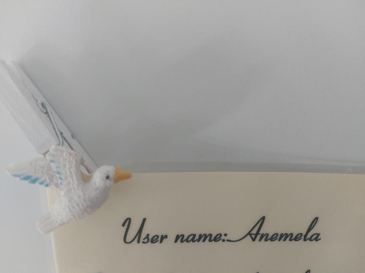Anemela Studio Lux Naxos City エクステリア 写真